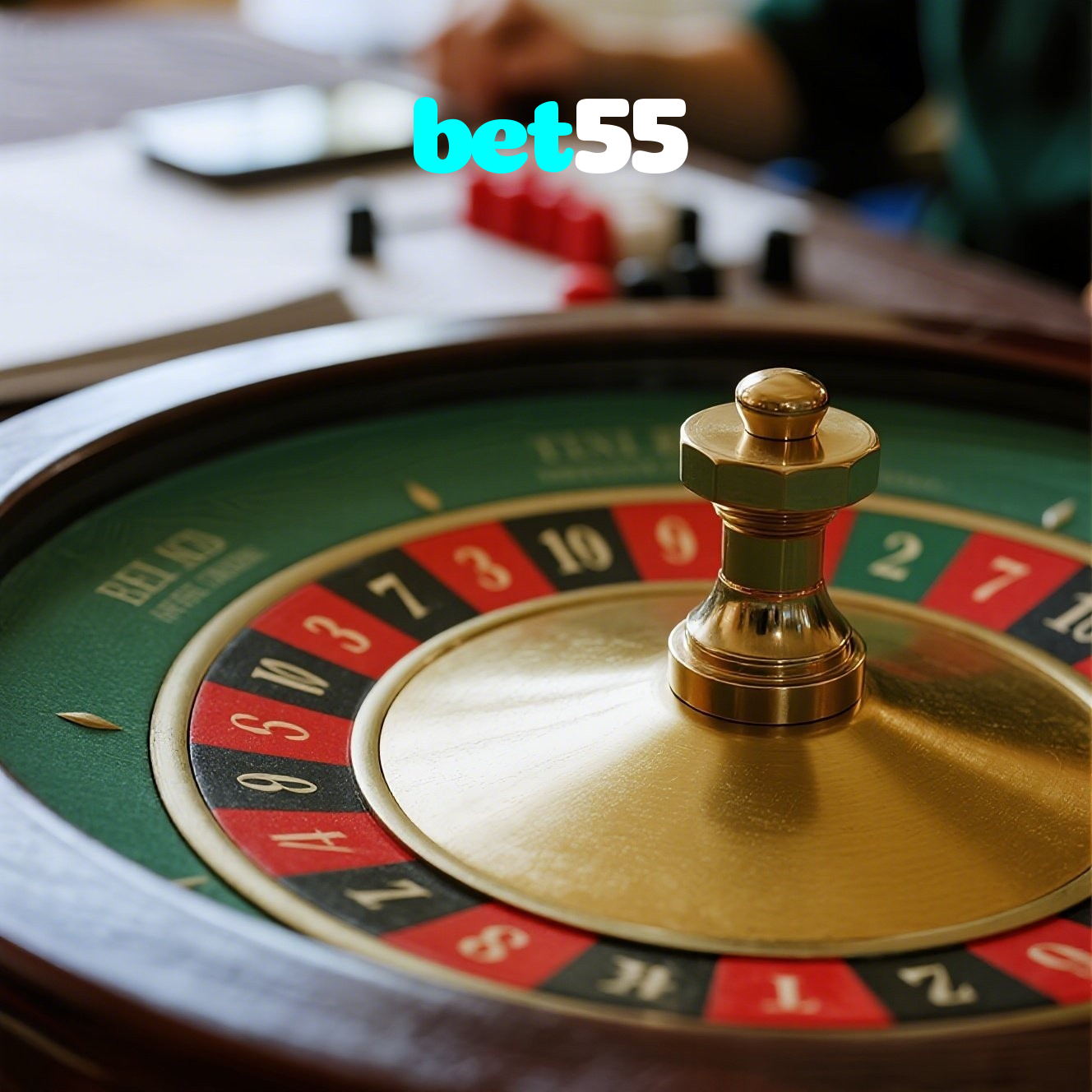 bet55 visual