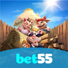 bet55 visual